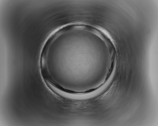 X0000094951335200711291406