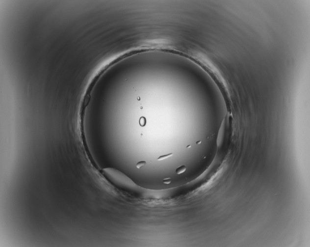 X0000094951336200711291406