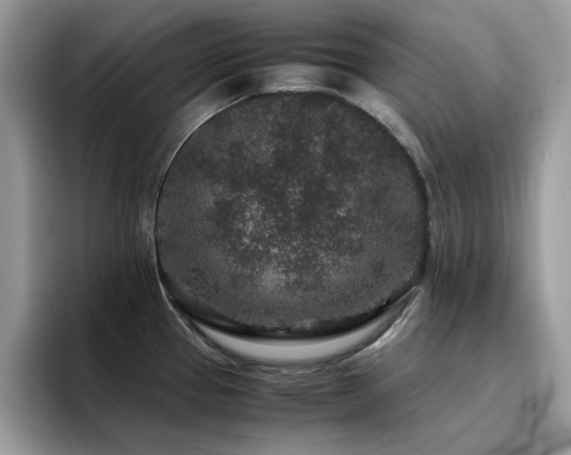 X0000094951337200711291406