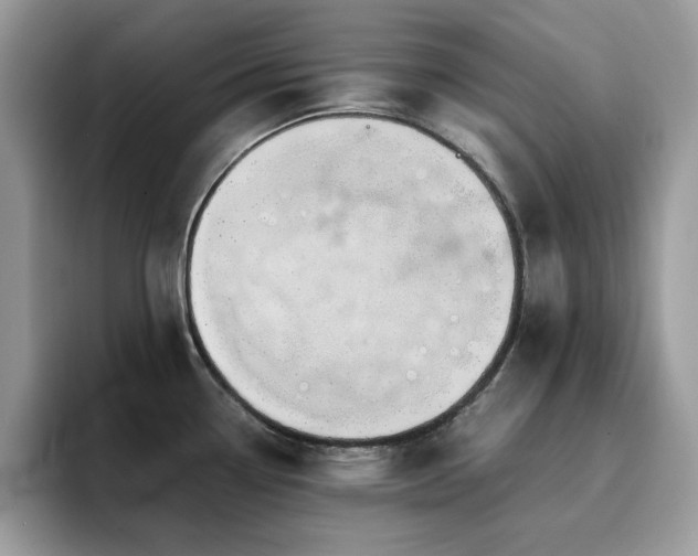 X0000094951338200711291406