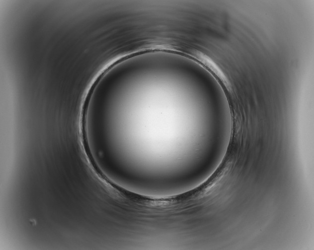 X0000094951339200711291406
