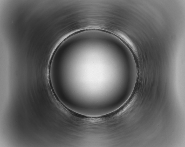 X0000094951340200711291406