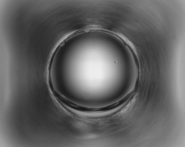 X0000094951341200711291406
