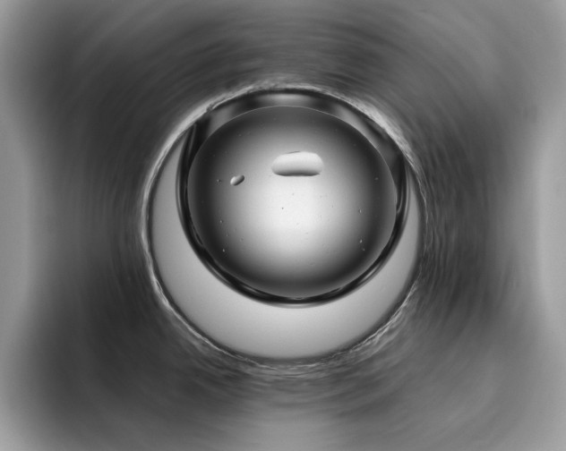 X0000094951342200711291406