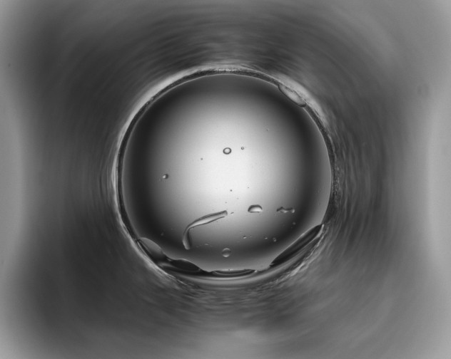 X0000094951343200711291406
