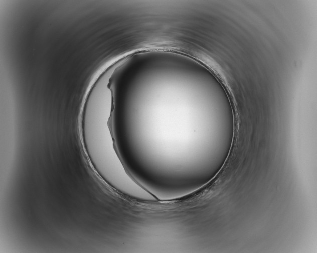 X0000094951344200711291406