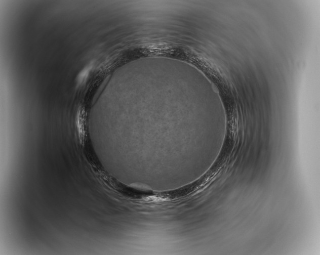 X0000094951346200711291405