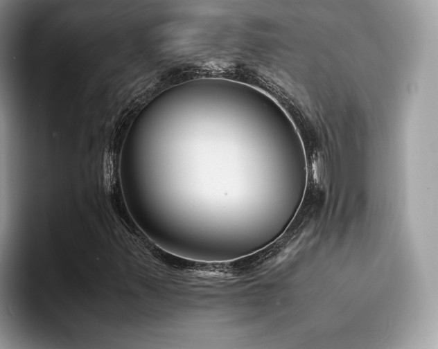 X0000094951347200711291405
