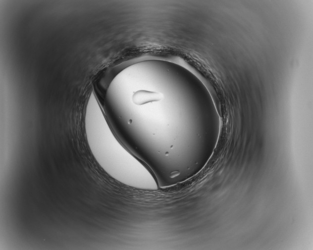 X0000094951348200711291405