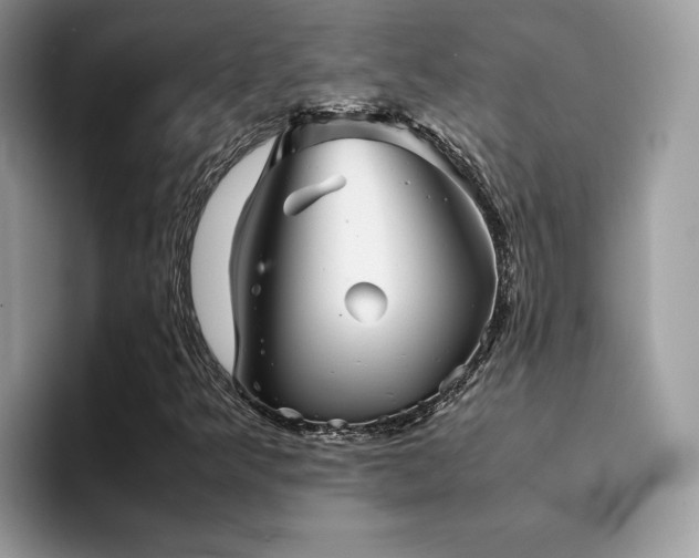 X0000094951349200711291405