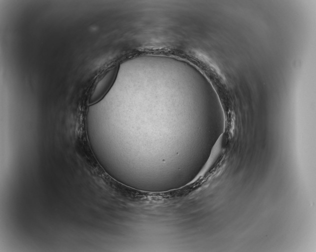 X0000094951350200711291405