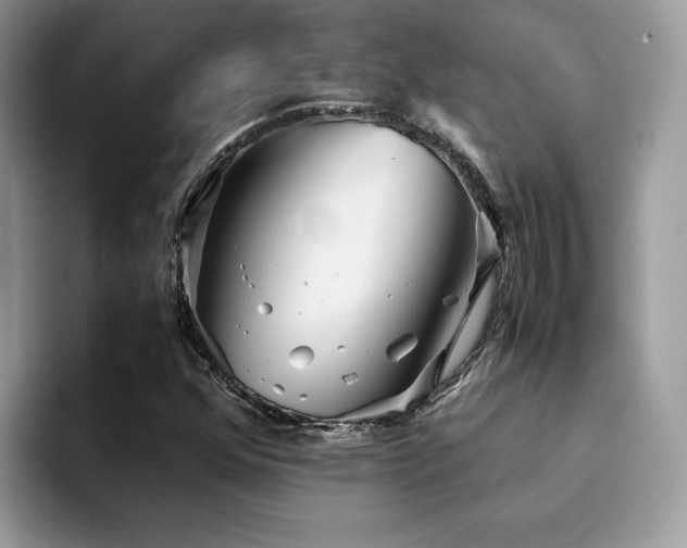 X0000094951352200711291405