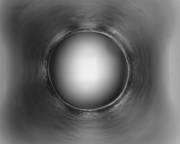 X0000094951354200711291405