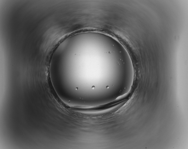 X0000094951355200711291405