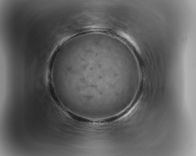 X0000094951357200711291405