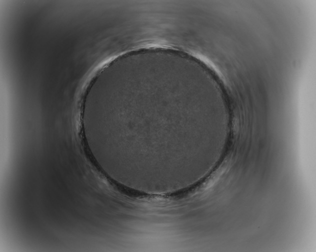 X0000094951359200711291405