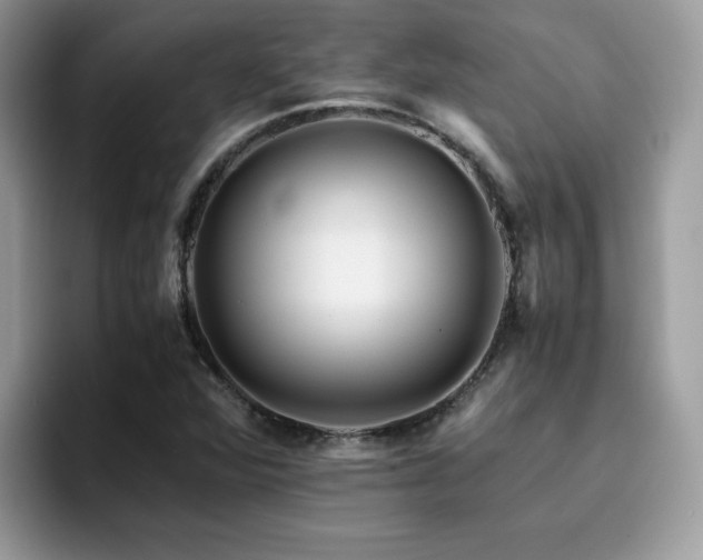 X0000094951360200711291405