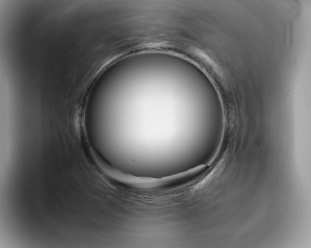 X0000094951361200711291405