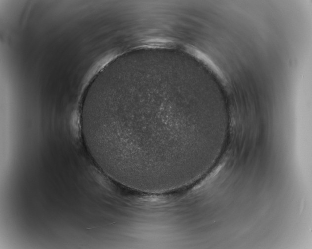 X0000094951362200711291405