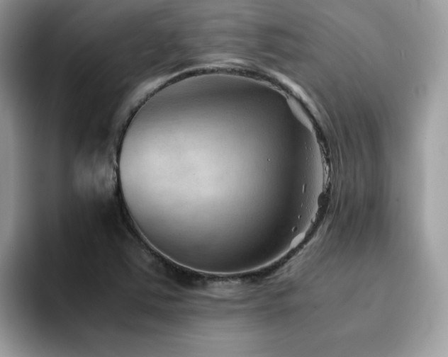 X0000094951363200711291405