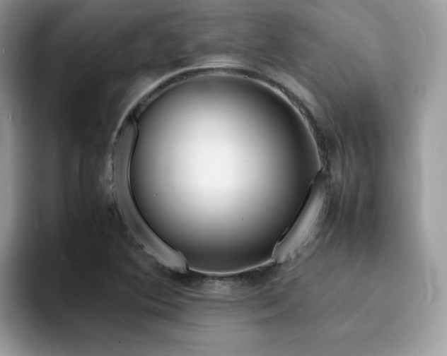 X0000094951364200711291405