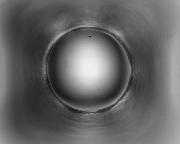 X0000094951366200711291405