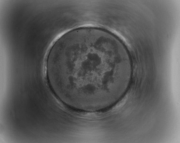 X0000094951367200711291405