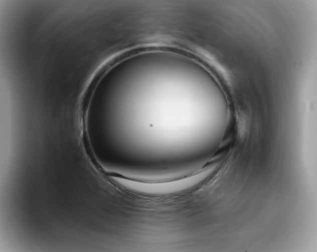 X0000094951368200711291405