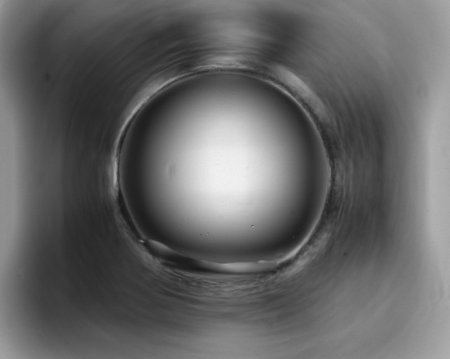 X0000094951370200711291405