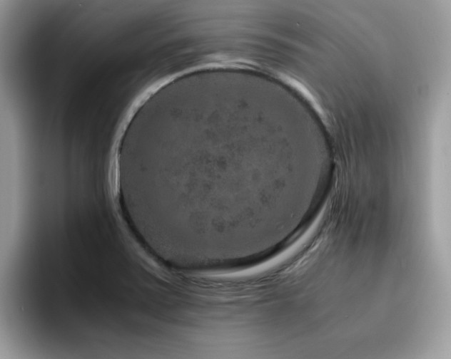 X0000094951371200711291405