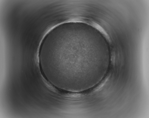X0000094951372200711291405