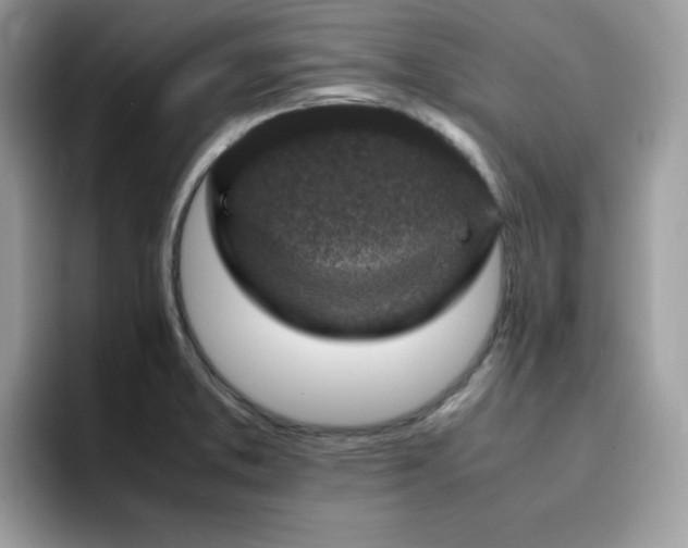 X0000094951373200711291405