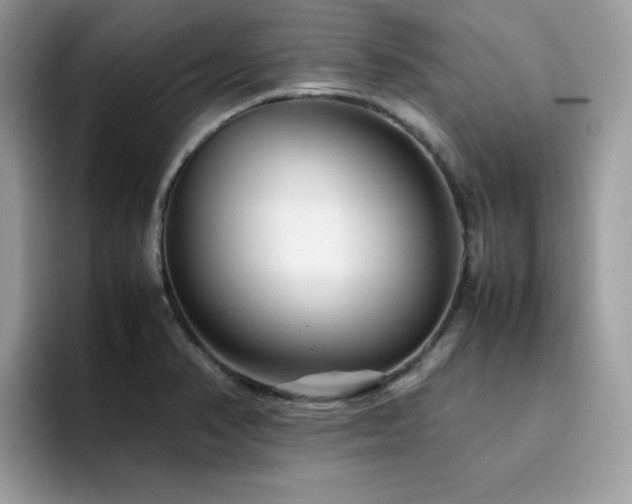 X0000094951374200711291405