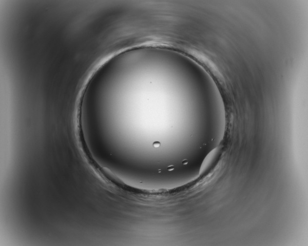 X0000094951375200711291405