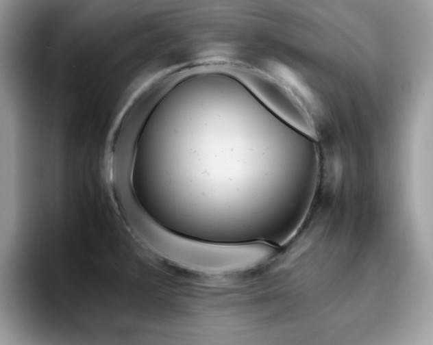 X0000094951376200711291405