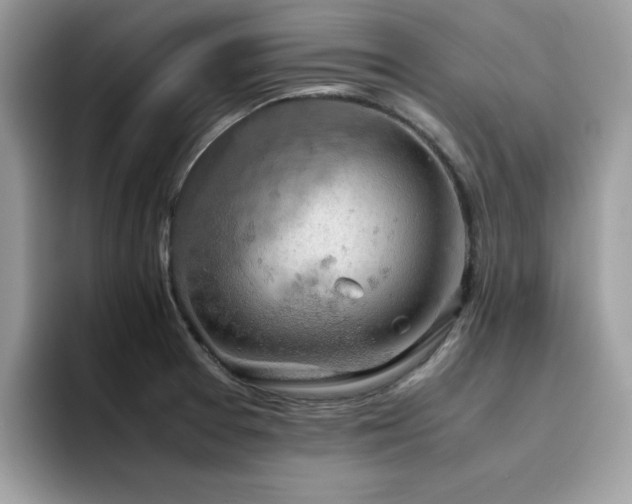 X0000094951377200711291405