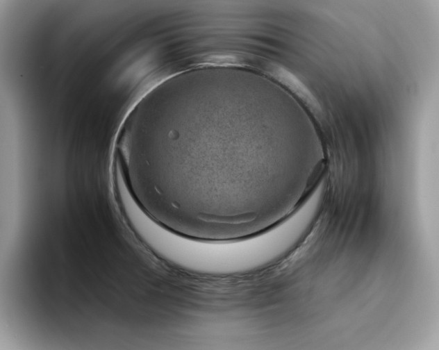 X0000094951378200711291405
