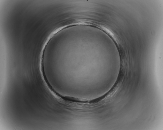 X0000094951379200711291405