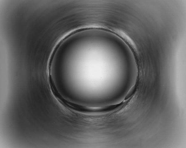 X0000094951380200711291405