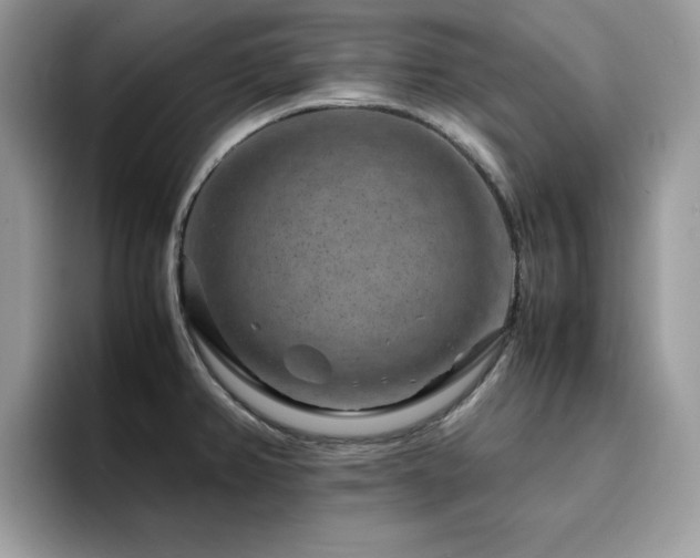X0000094951382200711291405
