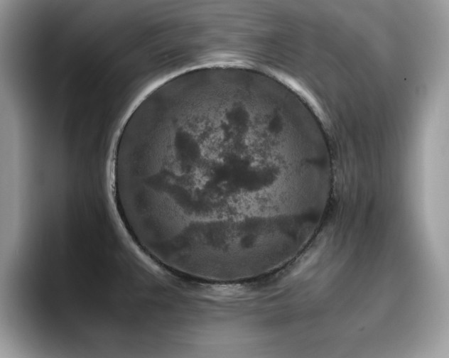 X0000094951383200711291405