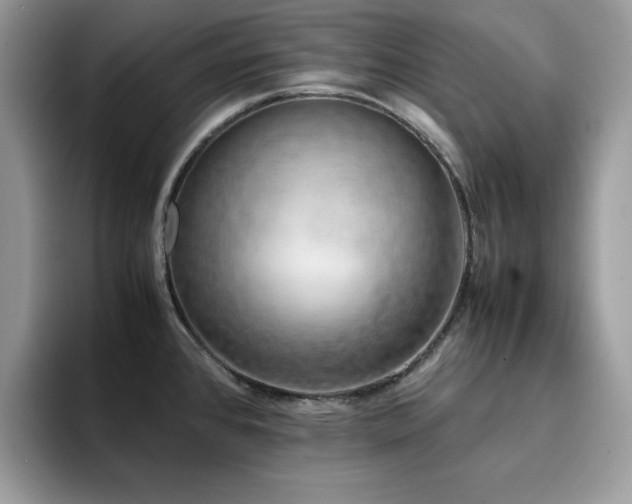 X0000094951384200711291405