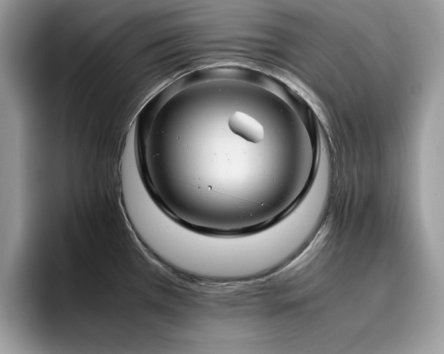 X0000094951385200711291405