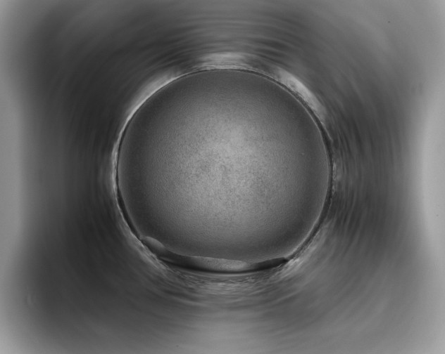 X0000094951386200711291405