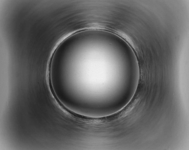 X0000094951387200711291404