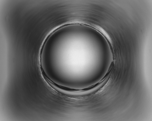 X0000094951388200711291404