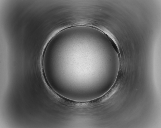 X0000094951389200711291404