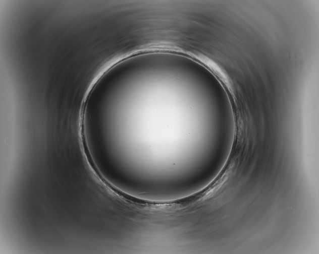X0000094951390200711291404