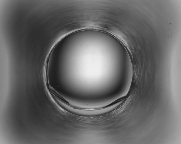 X0000094951391200711291404