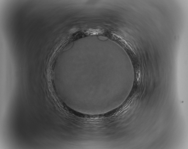 X0000094951393200711291404
